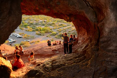 DSC_1445 (Large).JPG